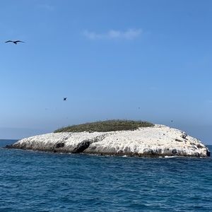 Meet your Posher, Davis